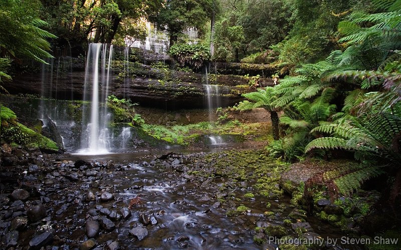 Russell Falls 1 Russell Falls, Mt Field NP, Tasmania